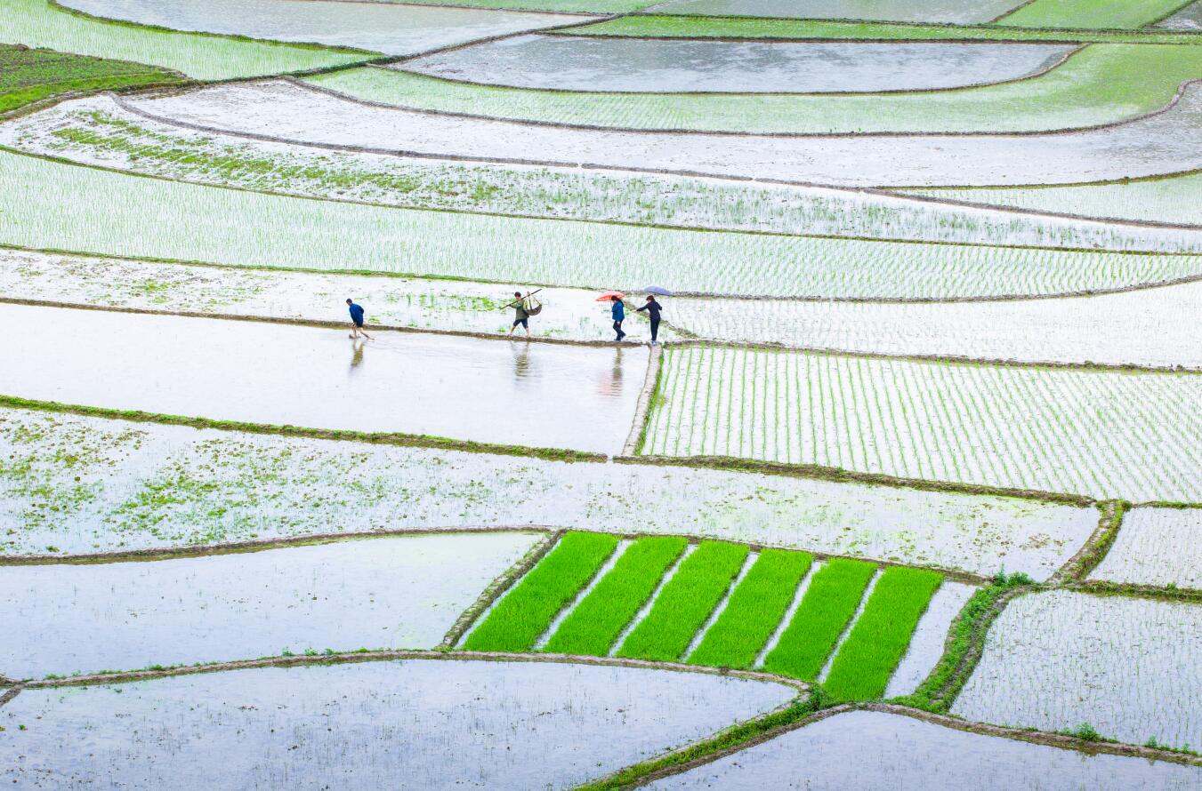 ������������԰����