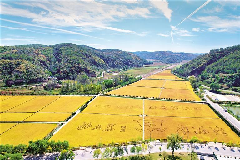 ������ǧĶˮ��