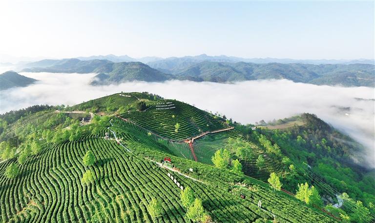 ������ƽ���������򽯼�ƺ��԰ 