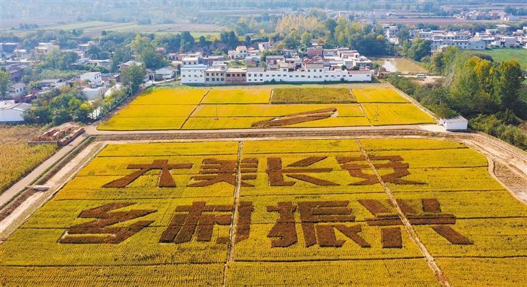 �����г����������ֵ�����������ŨŨ