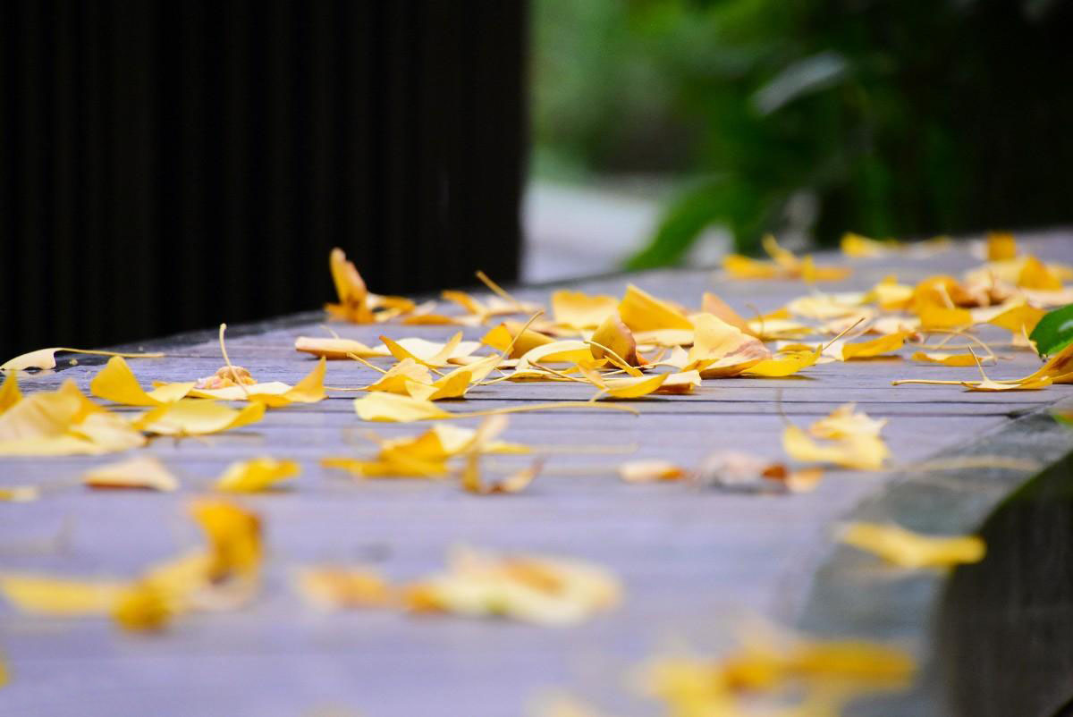 һ������