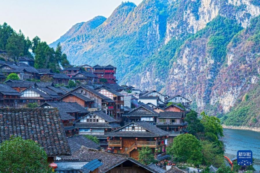 �������������������������ع�̲����