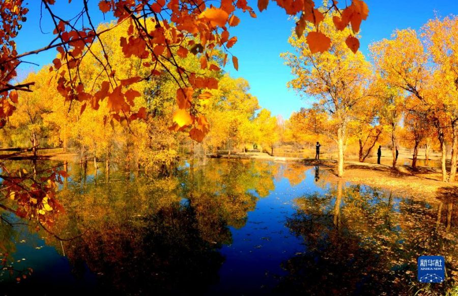 ����ʡ�����غ����־���