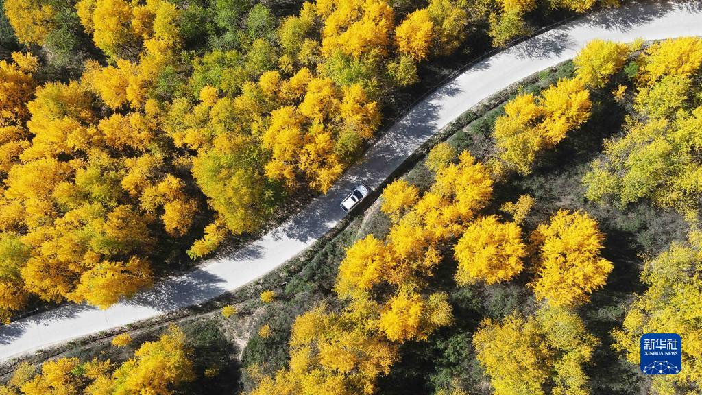 ����ʡ�����а������Ž���