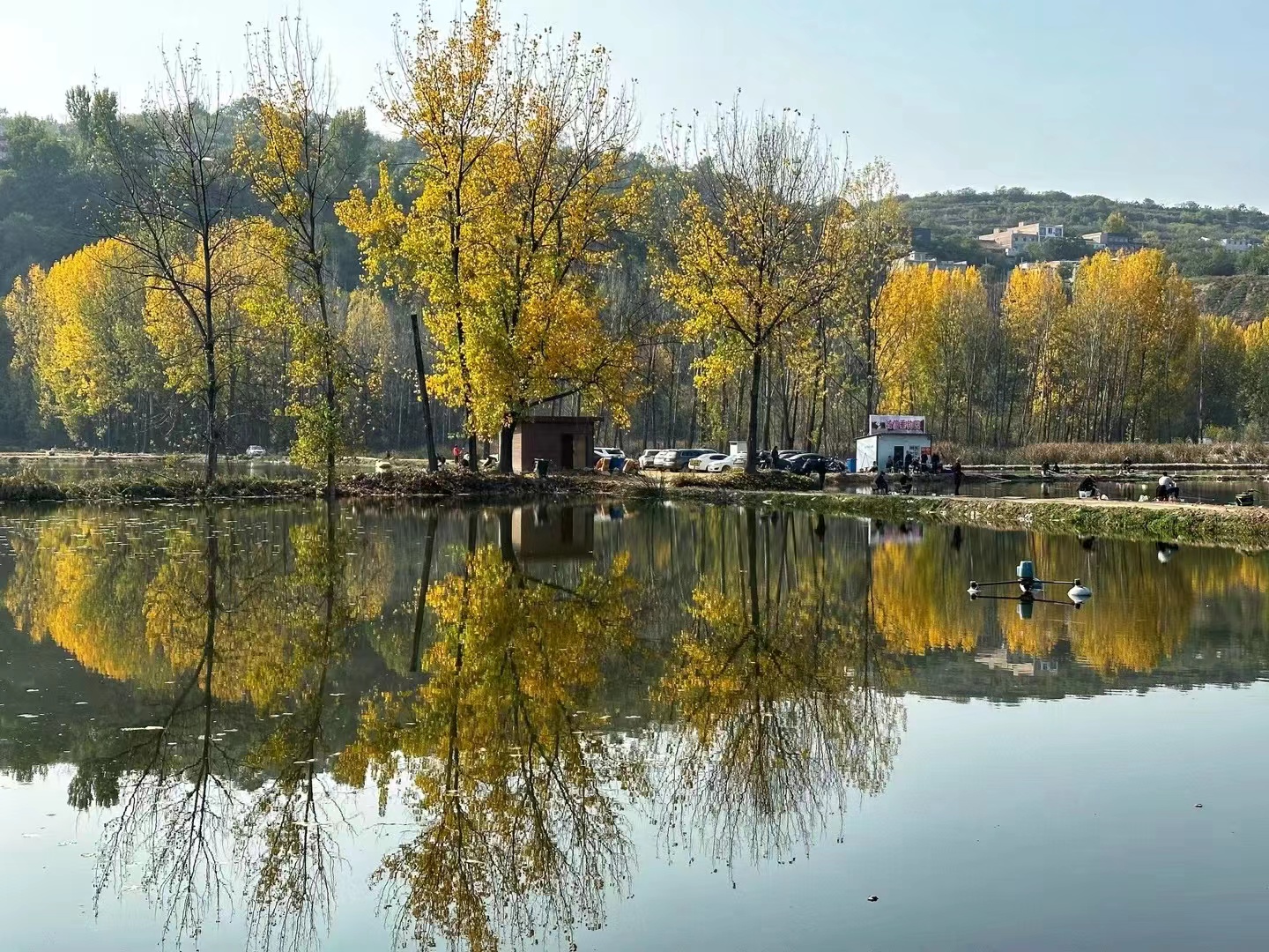 ����ϸ��