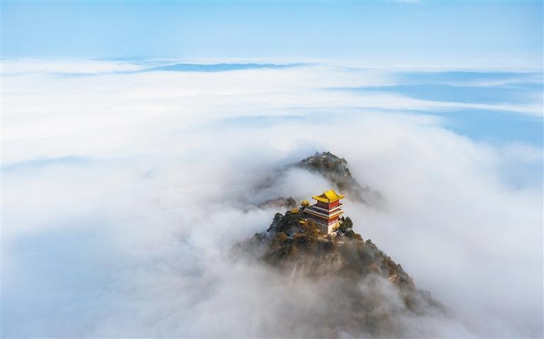 �����������̨