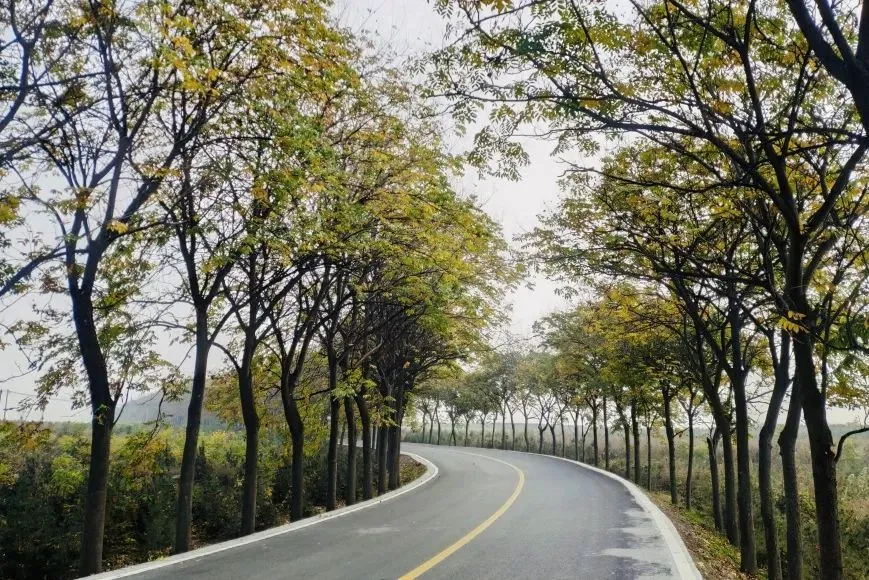 ����ɫ�ʺ�����