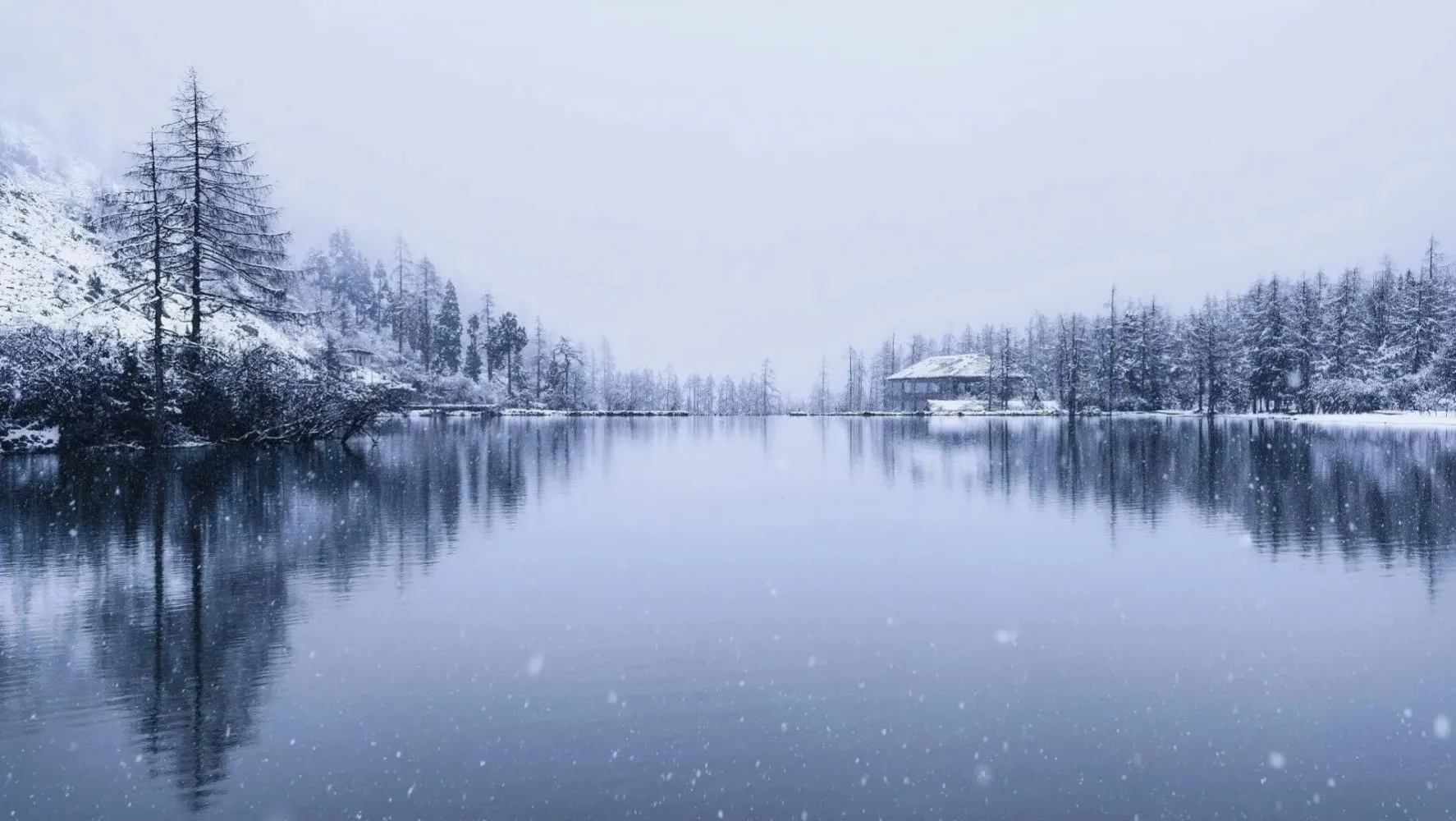 Сѩ��ɽ������ѩ��ѩ��ӳ�Ѿ�