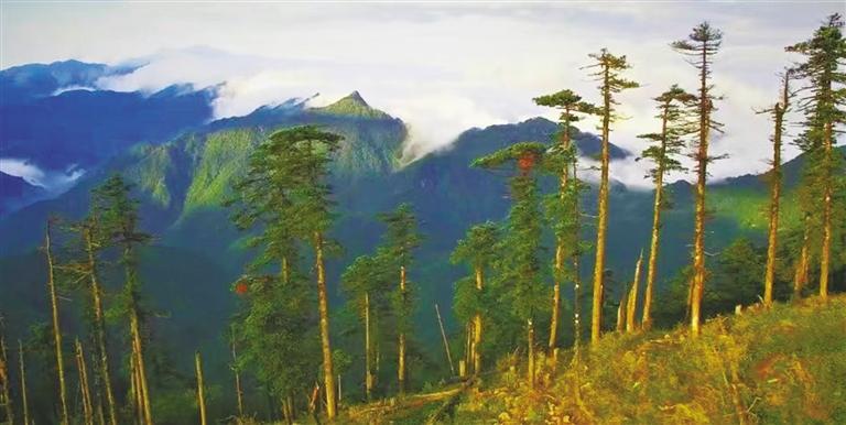 ����ʡ������ҵ�ֹ����ֳ�