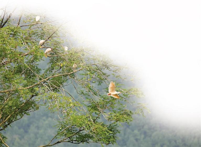 ���q�������ּ���Ϣ������