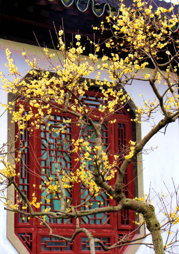 ��÷����