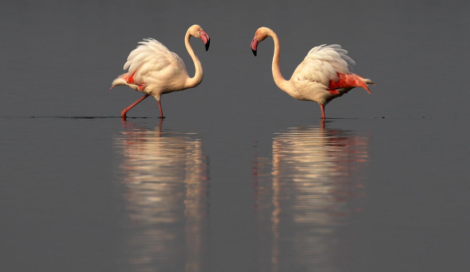 ɽ���˳��κ��Ļ�����