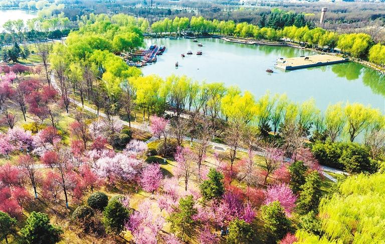 ������������ַ��԰