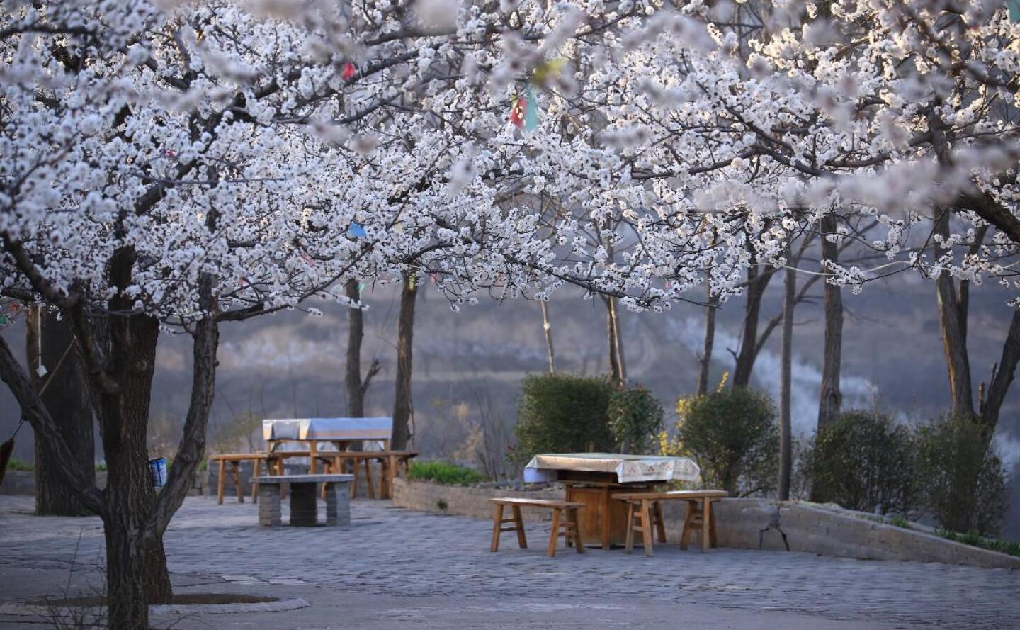 �ӻ�����