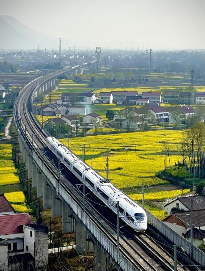 ����������г�