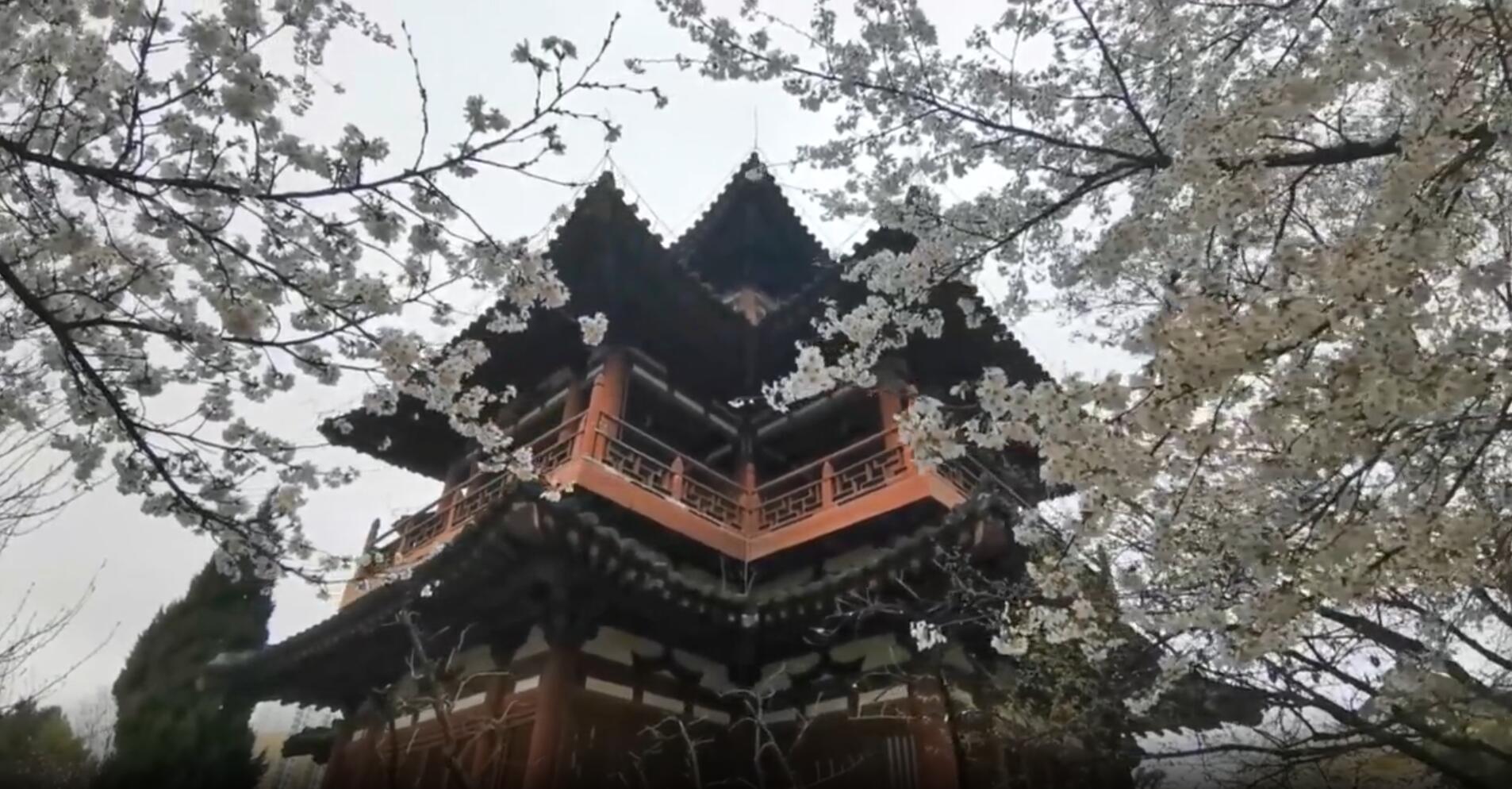 ӣ�������