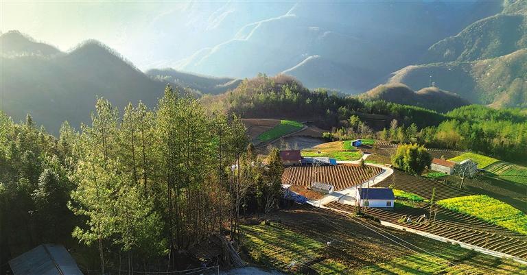 ɽ����ˮ���������