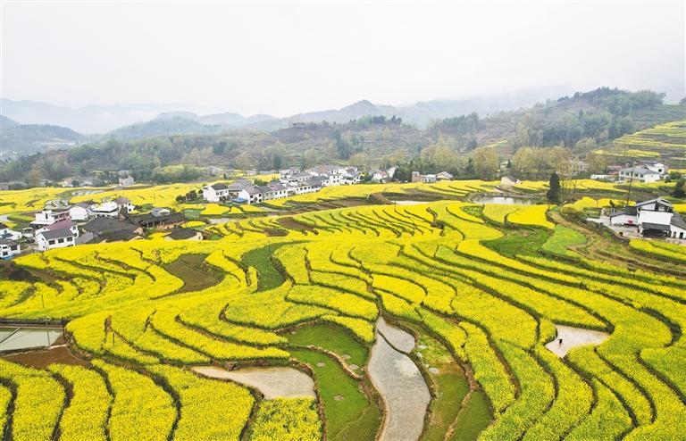 �������߹�����