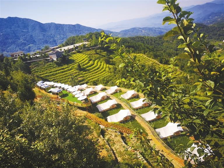 ������Ʒ����Ӫ��