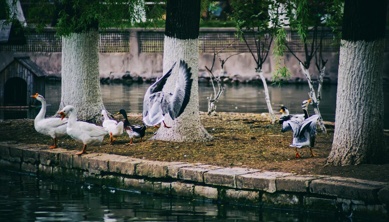 ��������