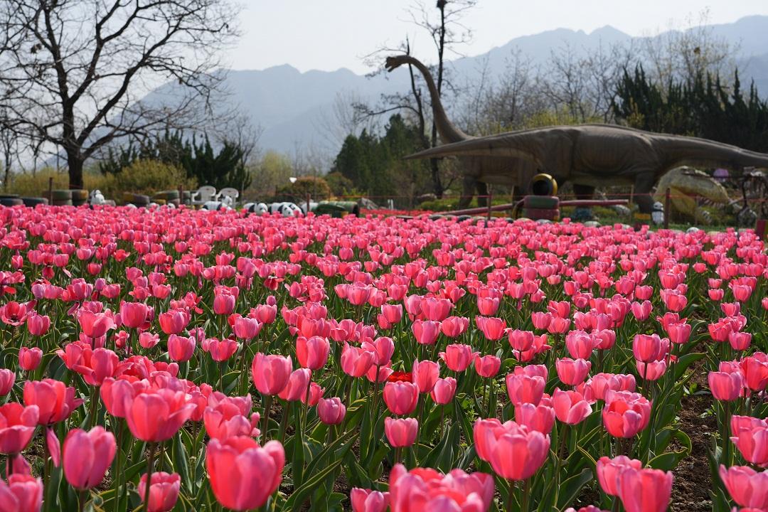 ����Ȫ������ʢ����������