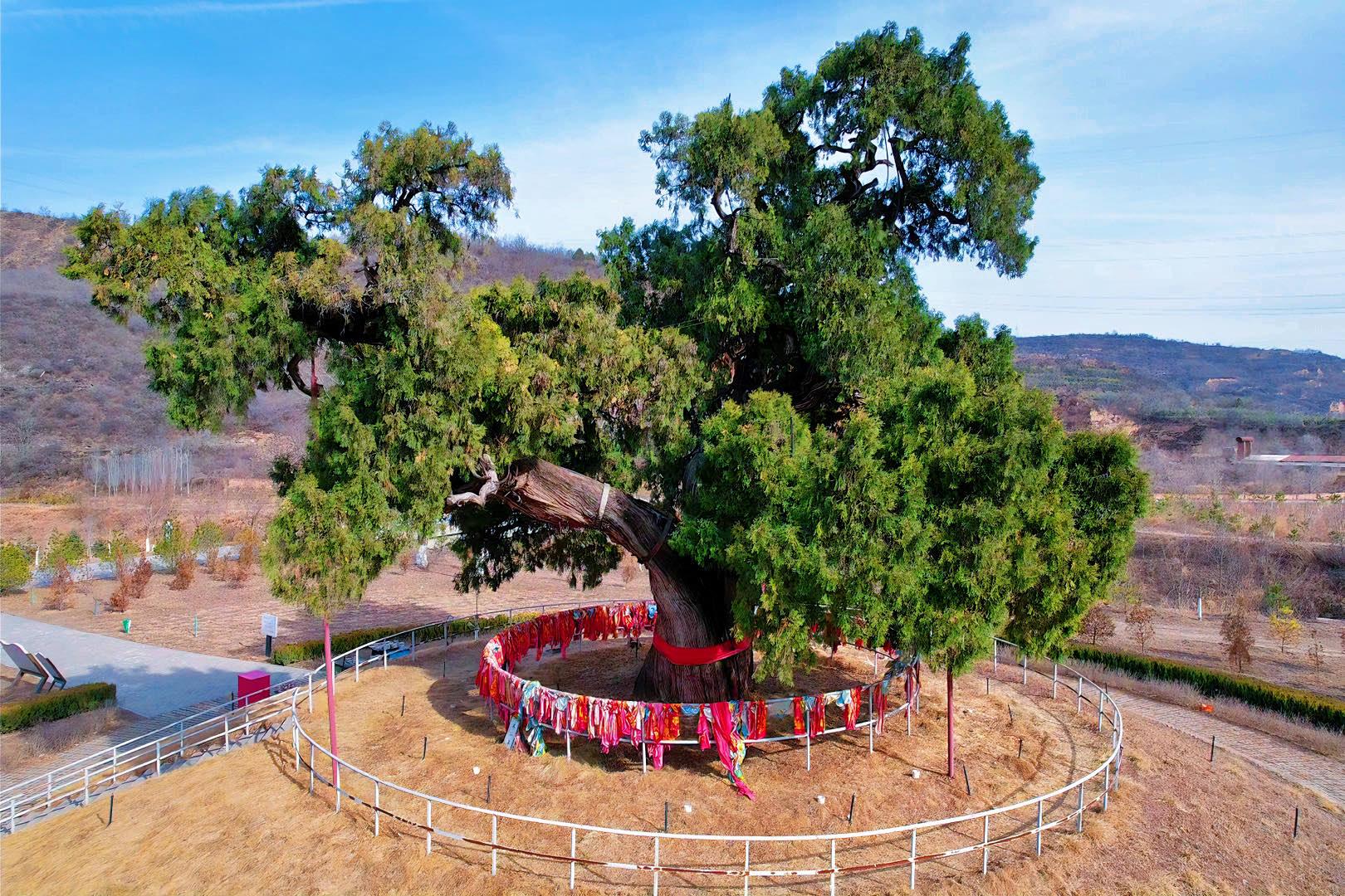 5000������Ͼ���