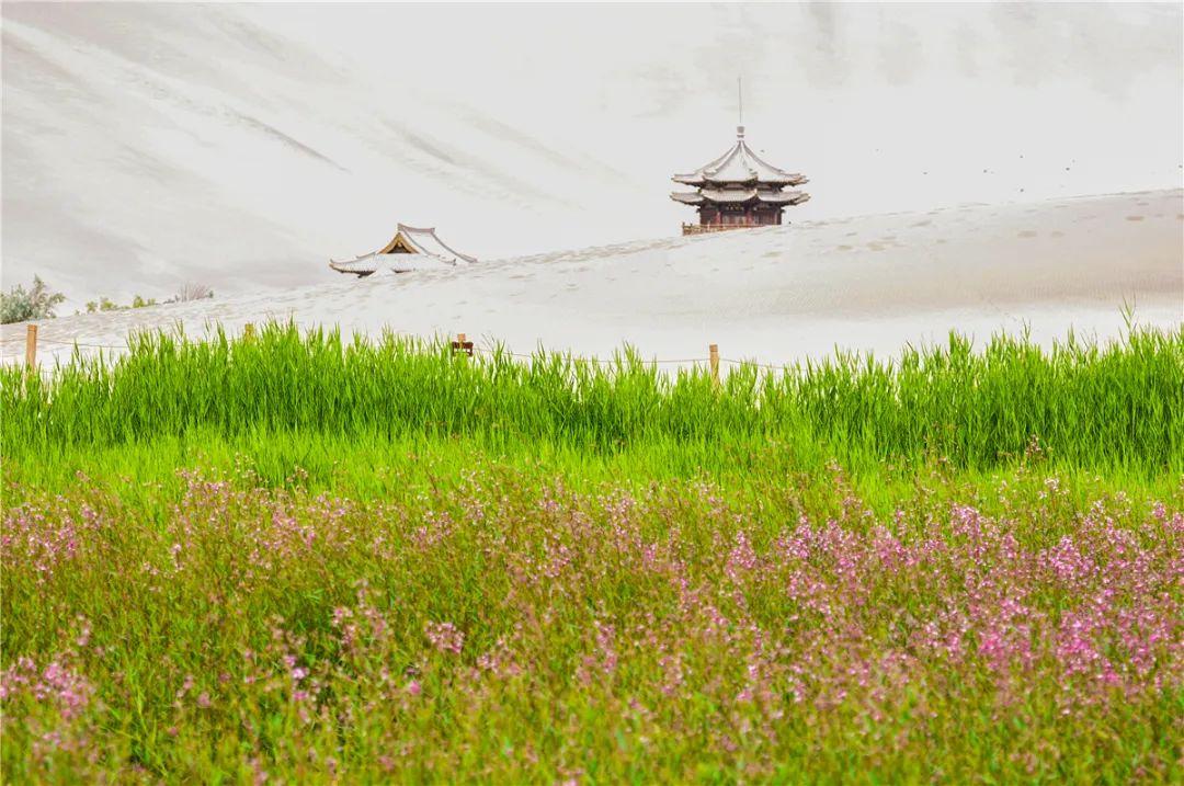 ��ɳɽ���޲��黨��