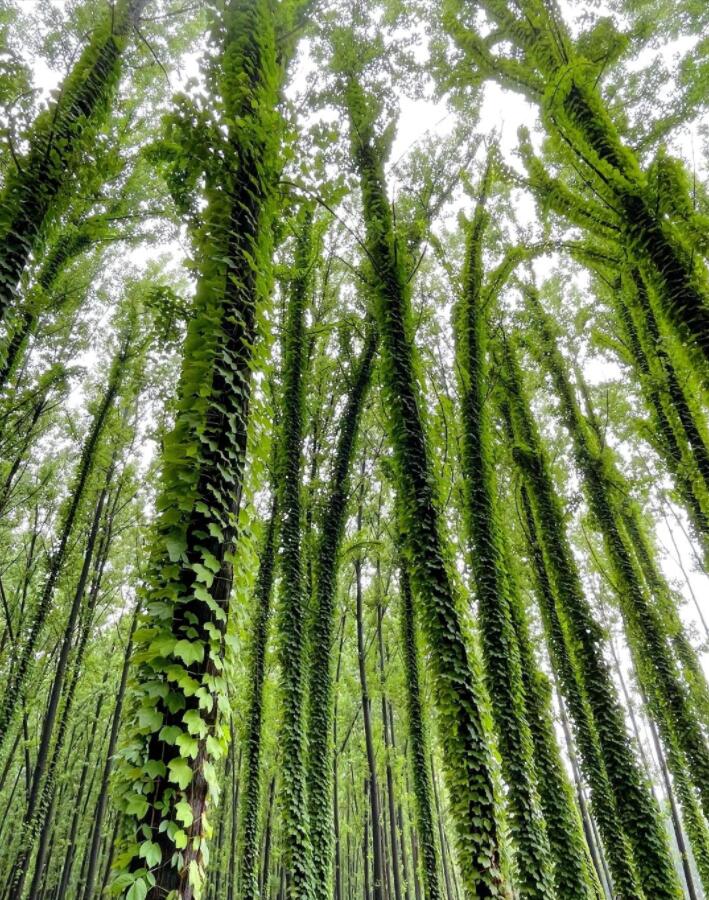 ����Ұ���١�1