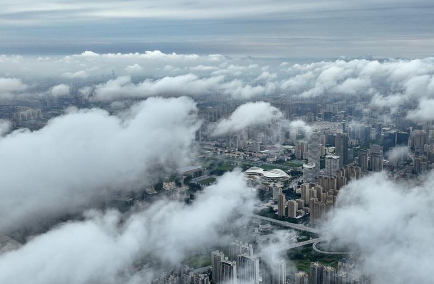 �������������ƺ�����