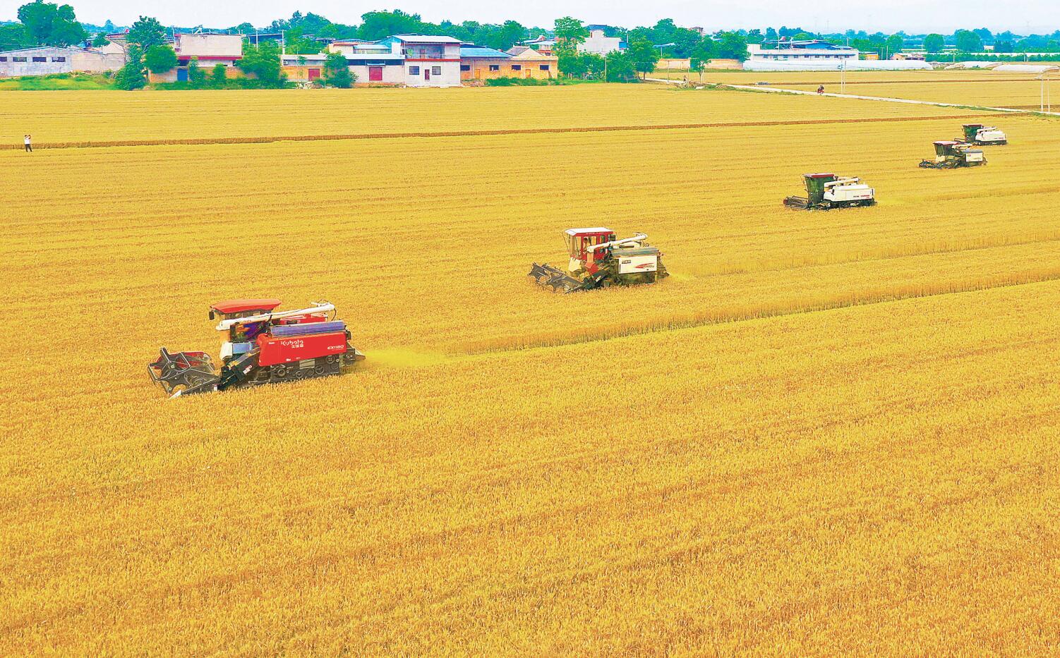 ���յļ���