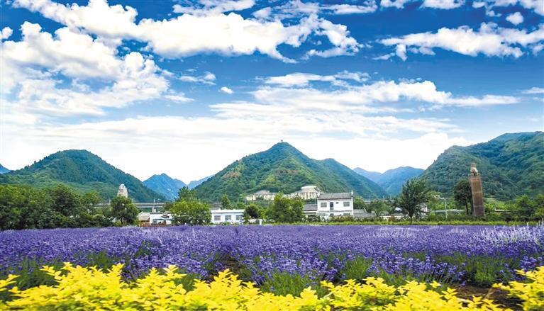 ޹�²�ʢ��ʱ��������