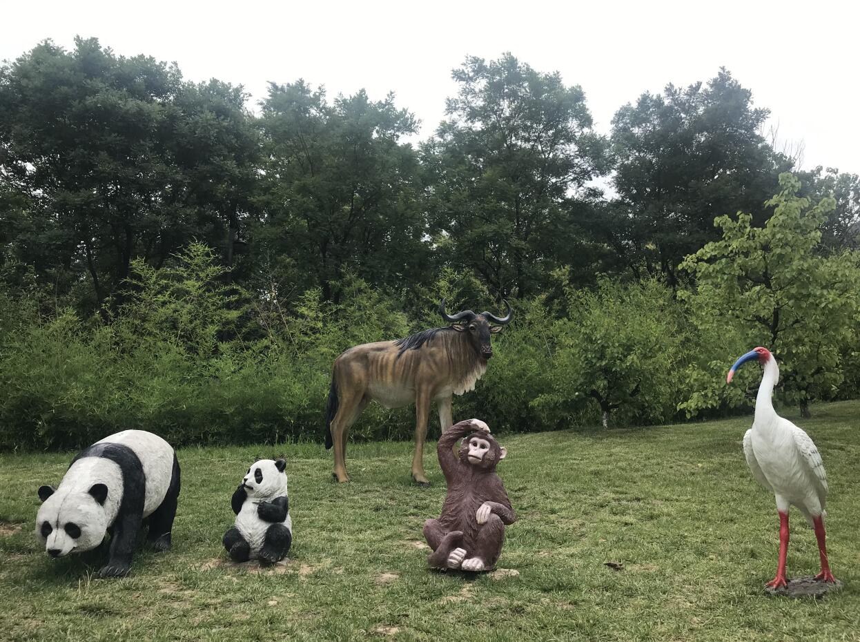 �����ı�