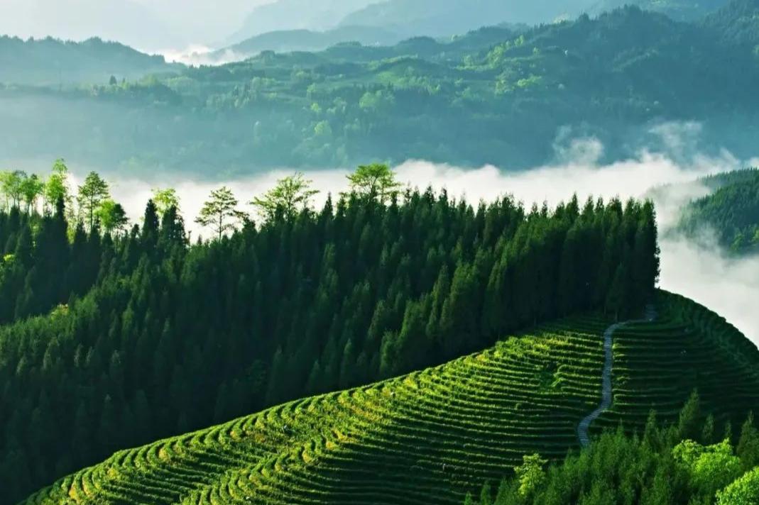 ��ɽ����