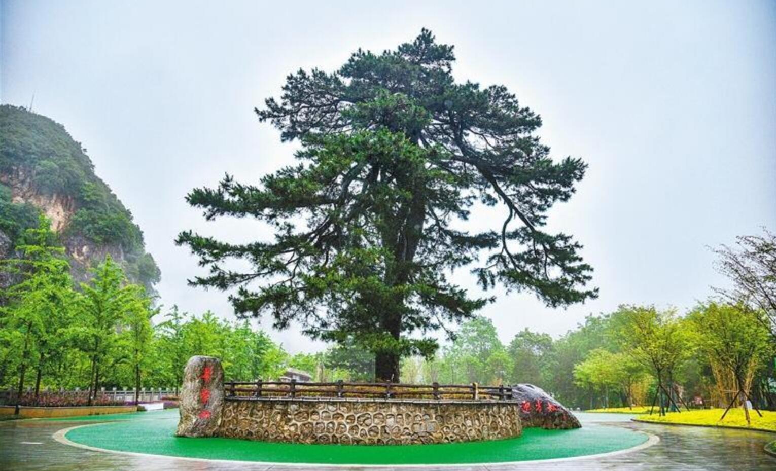 �仪ɽ��ر���ԭ����ǰ��ӭ����