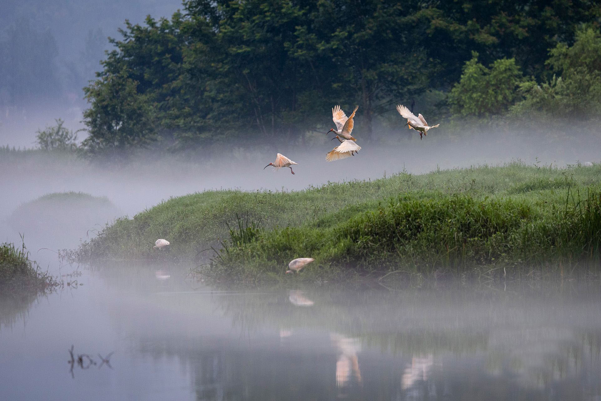 ��������  �q������