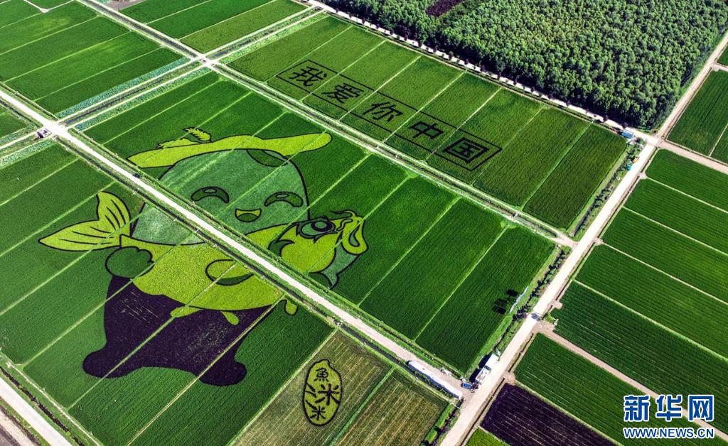 ������޷���ͨ�滭