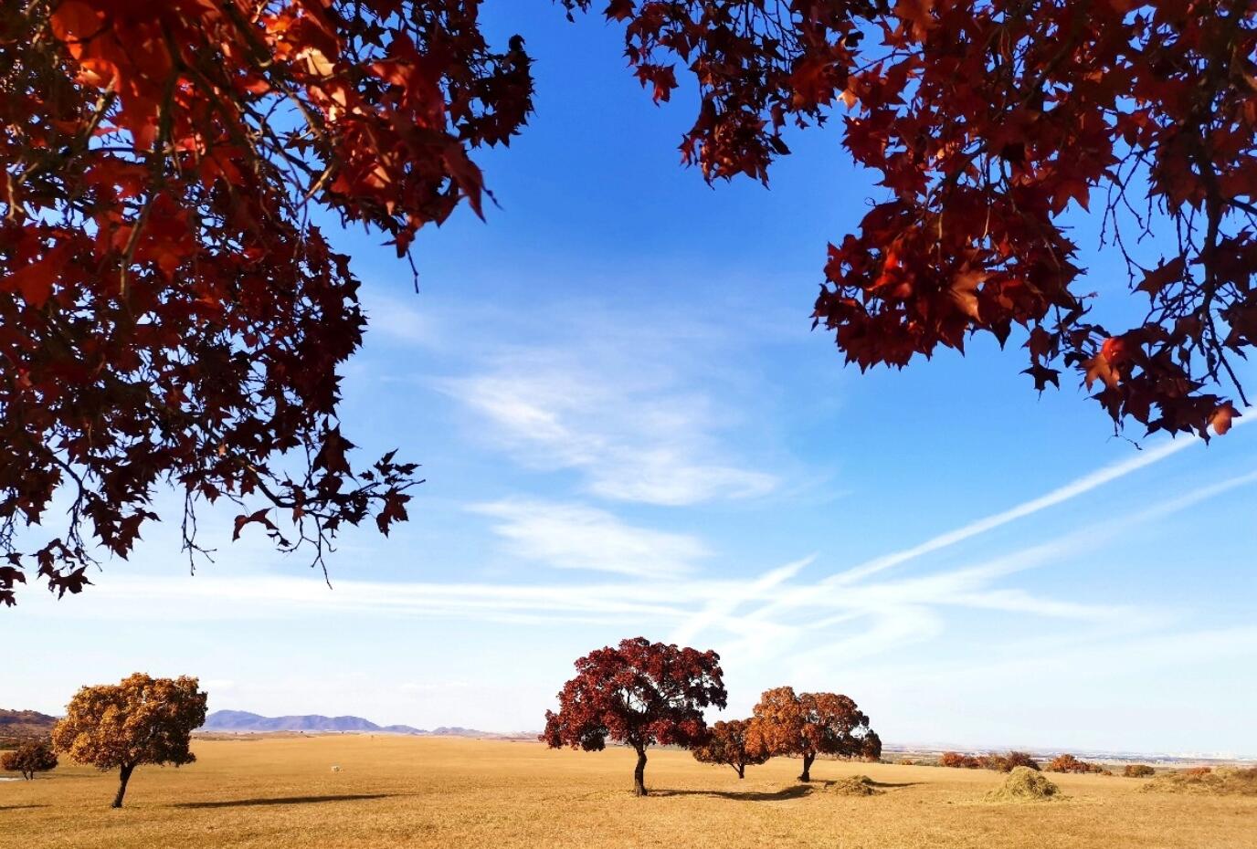 ��ԭ������