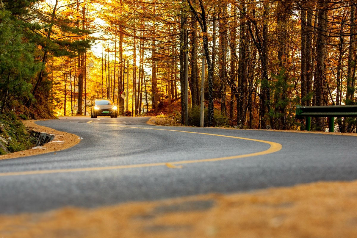 ������ɫ