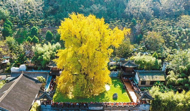 �Ź����������ǧ��������