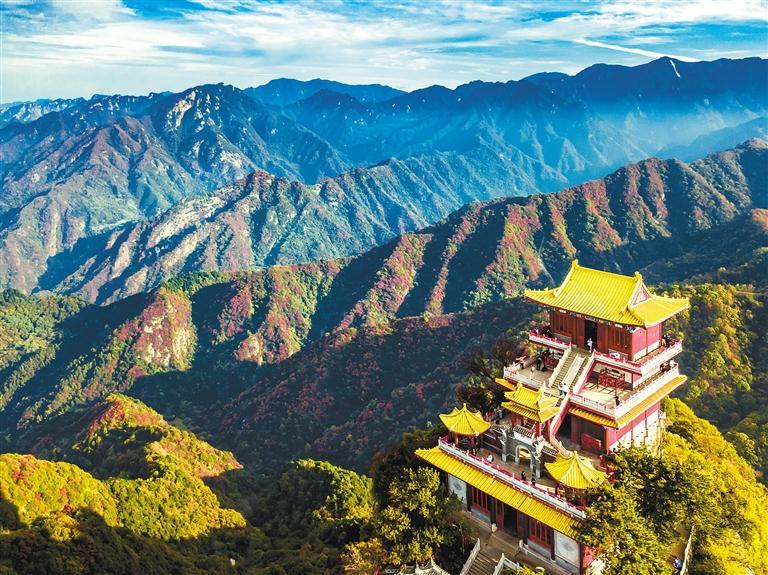 ��Ⱦ��������̨��