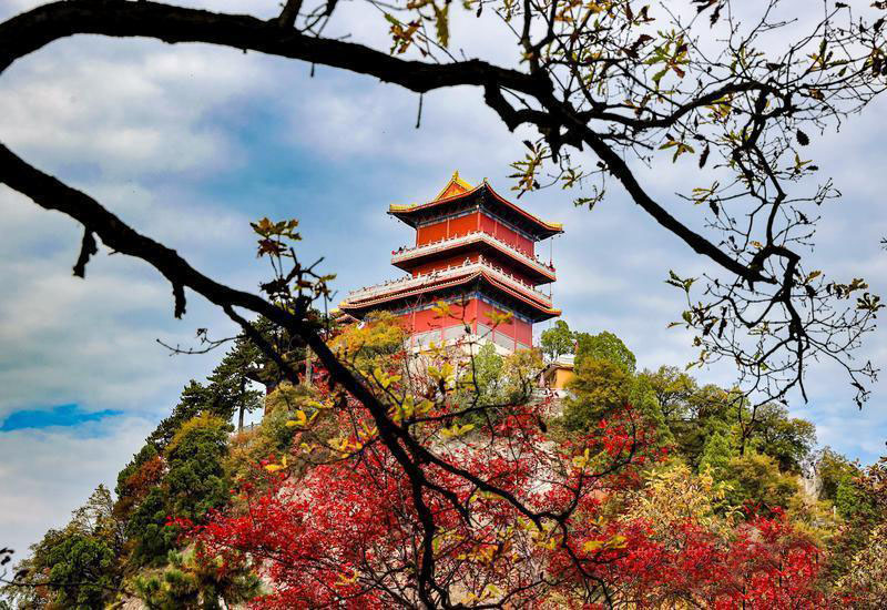 �����ɫ��