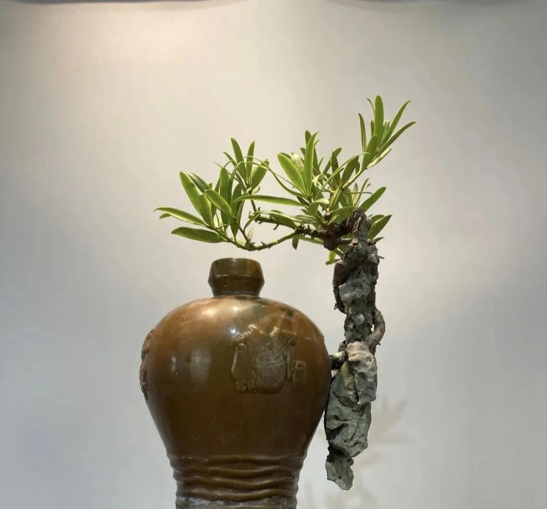 �Ͼ�ƿ��ķ羰