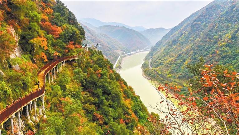 ����������ƺ��Ҷ