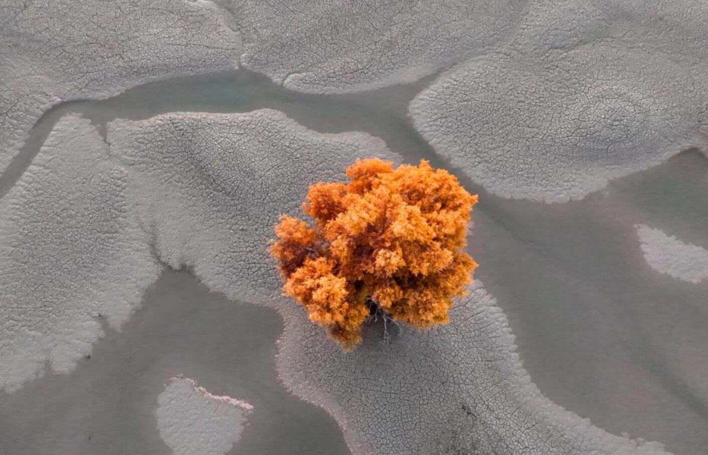 ɳĮ��ĺ���