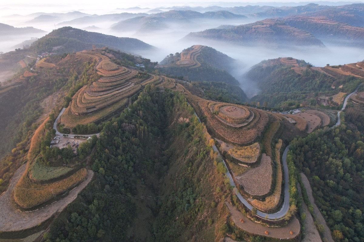 �±������������