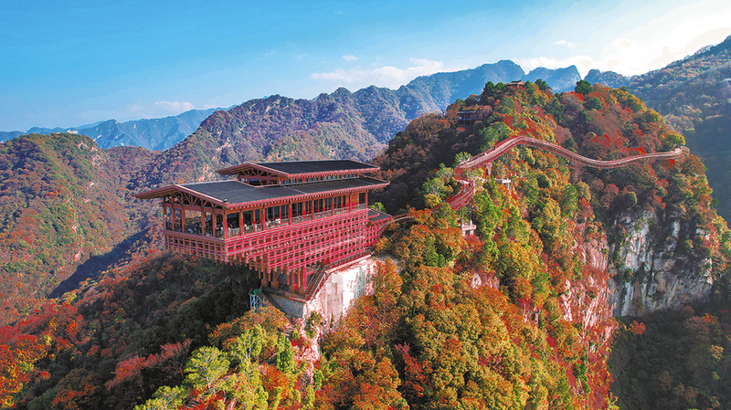 �ٻ���ɫ������