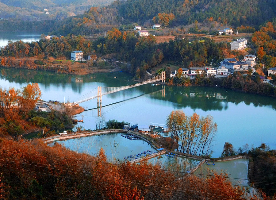 ����������Ϸ��