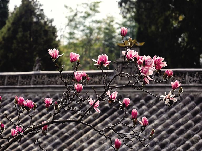 �ź�������