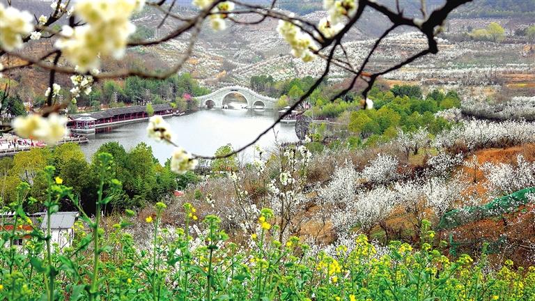 ������ӣ�ҹ�