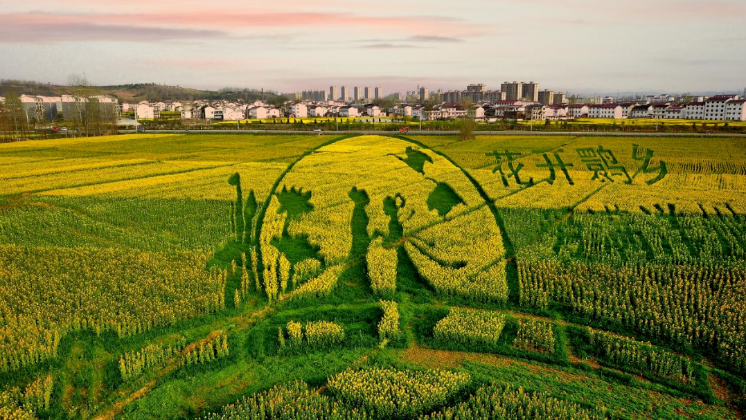 �����Ͳ˻���